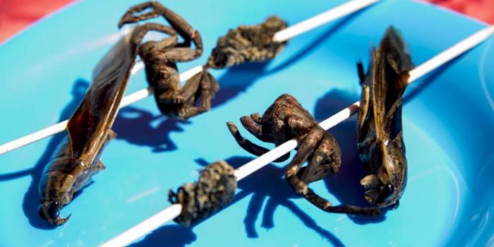 crazy unusual MICE activity in Andalusia